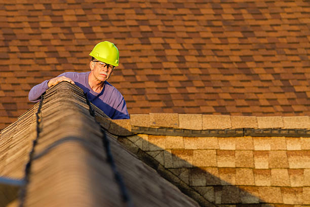 Best Roof Gutter Cleaning  in Saltillo, MS